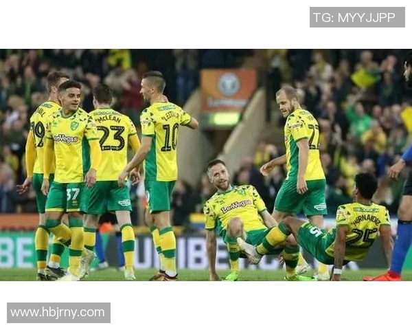 布里斯托城与诺维奇历史交锋比分回顾及分析