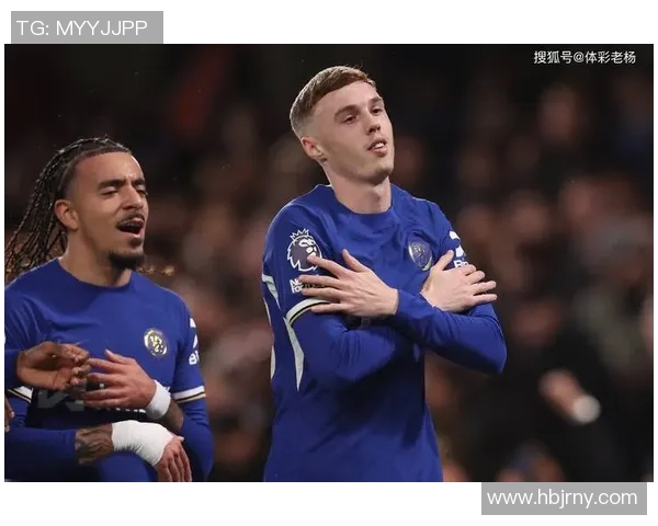 12.21今天足球引荐：法国杯 熬夜苦研10小时、内含胜平负、比分引荐！